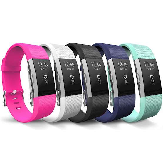 Fitbit Charge 2 Strap 5-Pack - Large