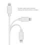 Powerfelx Apple 1m Lightning Cable - White