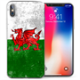 Apple iPhone X Welsh Dragon Retro Flag TPU Gel Case